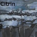 Ione Citrin -  - Oil Painting