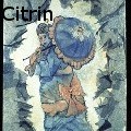 Ione Citrin -  - Water Color