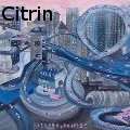 Ione Citrin - L.A.Freeway - Water Color