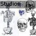 SL33PWELL Studios - Traditional Anatomy - Drawings