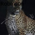 Steve Robinson - Leopard - Paintings