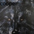 chris farrell cooper - Black Wolf - Acrylics
