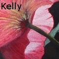 BeccaKelly